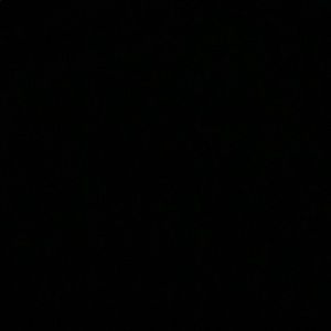 Meet your Posher, Reagan